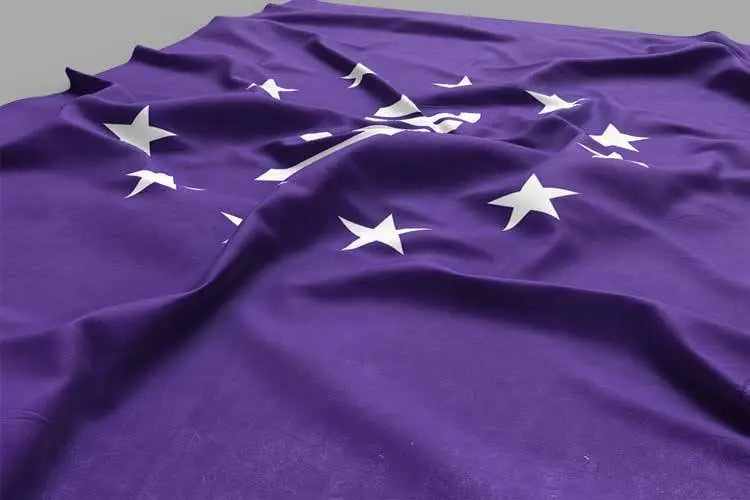 Lila Flagge mit Volt-Logo und EU-Sternen