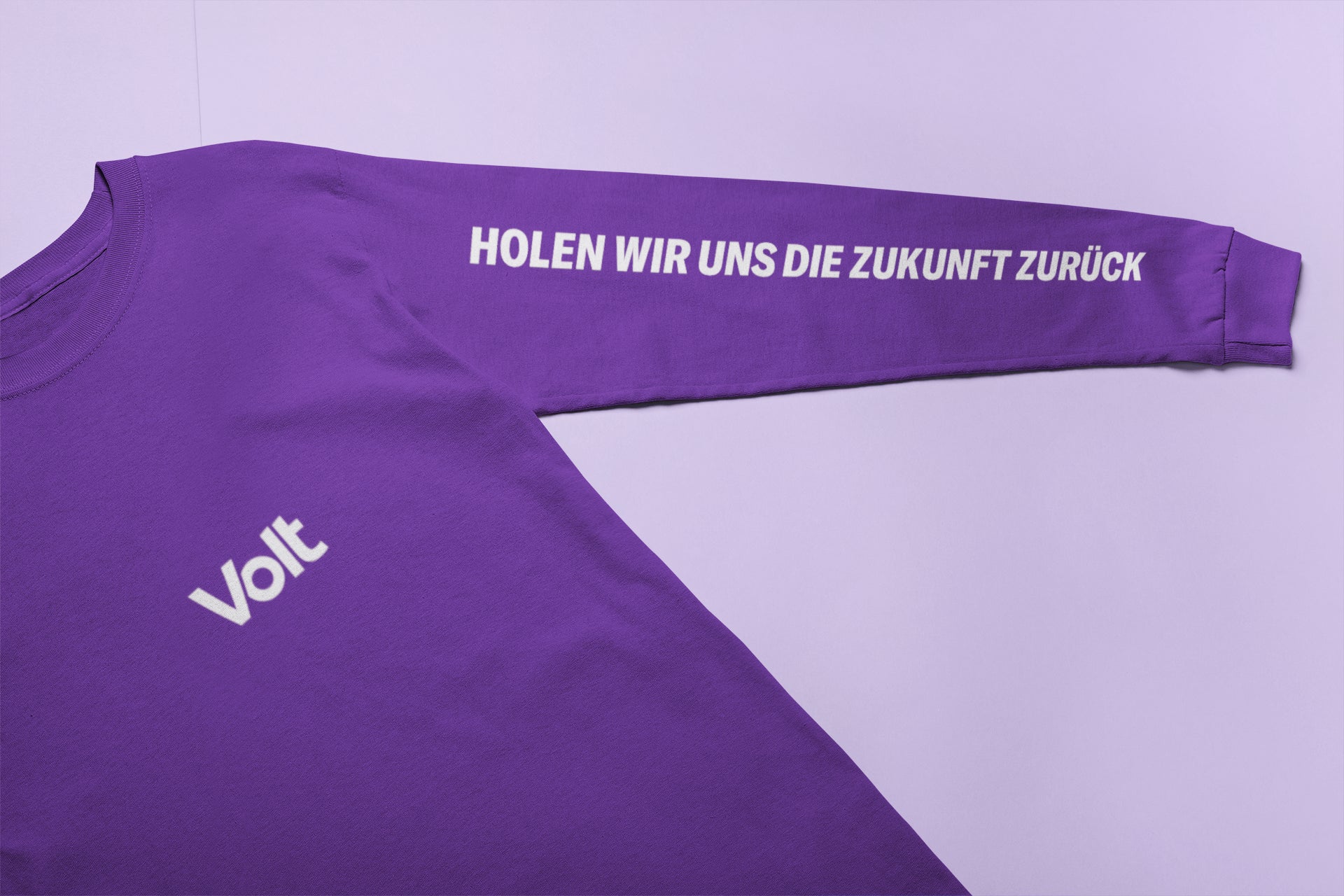 Campaign Sweatshirt 2025 "Holen wir uns die Zukunft zurück"